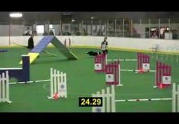 Fast USA Agility Runs During the 2008 AKC World Tryouts