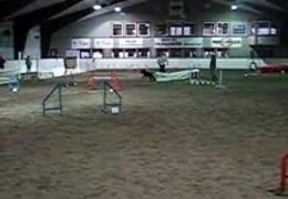 Froy The Giant Schnauzer Quits A Great Agility Run One Jump Early