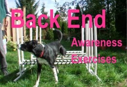 22 Rear End Awareness Exercises for Dog Agility