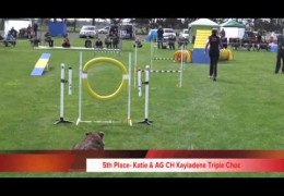 Great Runs at Top Dog Agility State Trial 2013