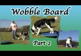 Advancing the Wobble Board for Teeter / Seesaw Contacts