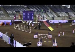 Feature and Swagger Eat Up the 2013 USDAA Dog Agility Nationals