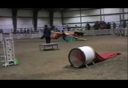 This 6 Year Old Junior Dog Agility Handler is Pure Talent