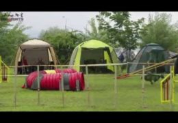 Amazing Video of 2013 Czech Dog Agility Qualification Runs Two