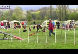 Amazing Video of 2013 Czech Dog Agility Qualification Runs One