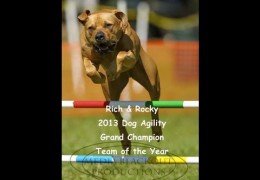 Rich and Rocky Making a Dog Agility Dream a Reality