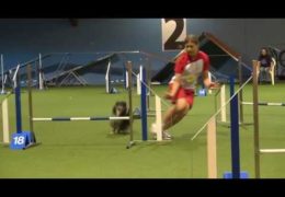 Small Dogs and Junior Handlers = AWESOME Dog Agility