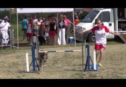 Could You Hold Your Dog Agility Team Together at This Age?