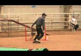 Check Out The Pure Drive on This Agility German Shepherd