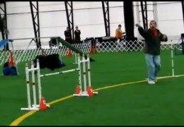 Ron Heller and Danni Are Dog Agility Poetry in Motion