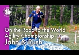 Meet USA World Team John Nys and His Shetland Sheepdog Rush