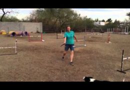 Great Crosses Exercises With Jumps