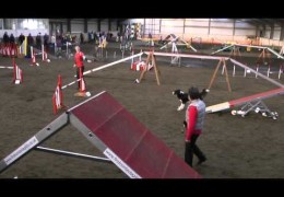 Troy Nails This Agility Course For The Win