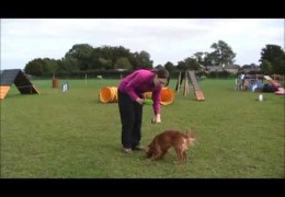 How to Create Forward Focus in Your Agility Dog