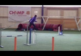 WOW! Dinamit is Pure Speed in Dog Agility