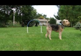 Improving Distance Handling With a Hoop Part 1