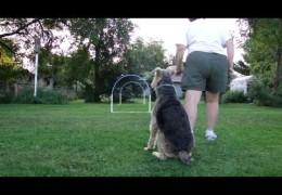 Improving Distance Handling With a Hoop Part 2