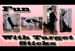 What is a Target Stick? Loads of Fun!