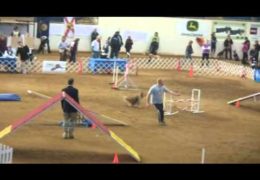 Ray and Koda’s First Go At The AKC Nationals