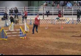 Rhian Slays This AKC Nationals Course