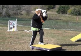 Jill Basset Gives Her Best in Dog Agility