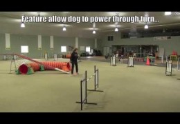 Tight or Wide Turn for Your Agility Dog Ex1