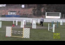 Dog Agility Interrupted Front Cross
