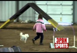 Kids are the Future of Dog Agility