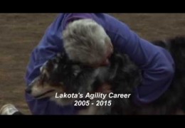 Lakota’s Last AKC Dog Agility Run