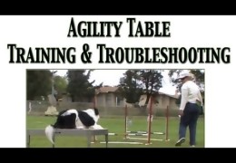 Teaching Dog Agility Table and Fixing the Fly Off