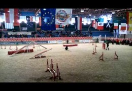 Dogs Don’t Get All The Fun With Dog Agility