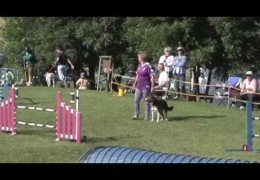 Dog Agility Keeps Changing But The Heart Remains the Same