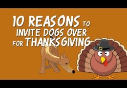 Top 10 Reasons You Should Invite Dogs to Thanksgiving