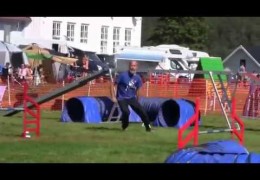 Schapendoes Excelling in Dog Agility