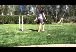 Dog Agility’s Reverse Spin, Front Cross and Post Turn