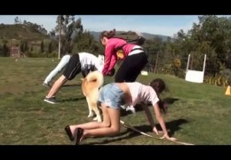 Dog Agility can be Trained by Kids When Taught Right