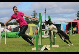 Five Ways to Handle the S-Line in Dog Agility Courses