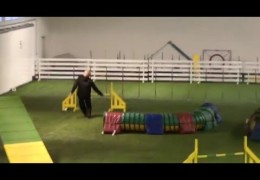 Amazing Dog Agility runs by Jaakko with Janita’s Dog