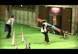 Wow, Spectacular Dog Agility Runs by Mona & Page