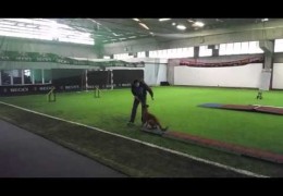 Dog Agility 2on 2off Training with Michael & Fertique
