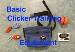 Basic Clicker Training Equipment for Dog Agility