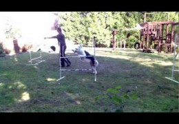 Front Cross vs. Blind Cross in Dog Agility Training