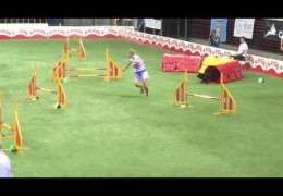This Dog Agility Team is Greased Lightning