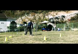 Drills for Dog Agility Weave Pole Entries