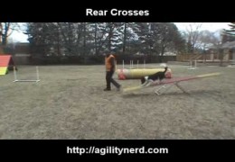Steve Shows the Difference in Dog Agility Front, Rear and Push