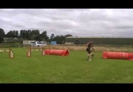 Dog Agility Tunnel Brake Demonstrated