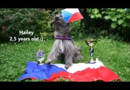 You will be Wowed by this Junior Dog Agility Handler