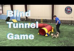 Blind Tunnel Game