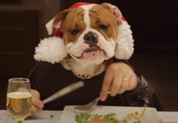 Dogs at Christmas Dinner